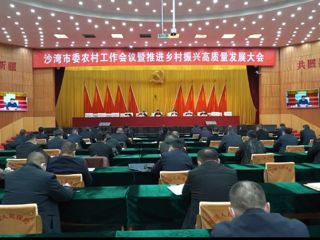 沙湾市委召开农村工作会议暨推进乡村振兴高质量发展大会