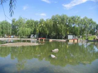 文化广场02