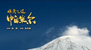 雄鹰飞过帕米尔
