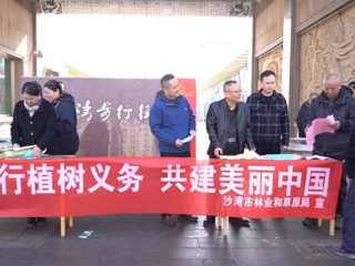 沙湾：厚植绿色底蕴 筑牢生态屏障