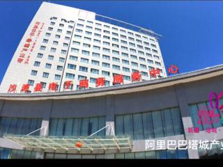 “塔城的山花开了”厨房塔城(视频)