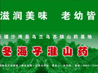 冬海子淮山药