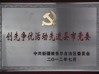 创先争优活动先进县市党委