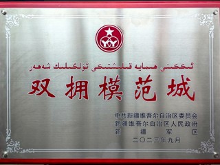 自治区双拥模范城