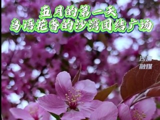 鸟语花香的沙湾团结广场