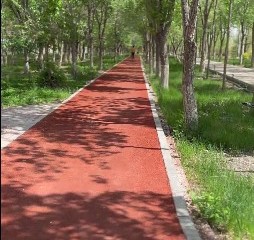 健康公园