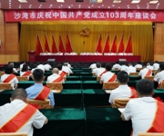 沙湾市举行庆祝中国共产党成立103周年座谈会
