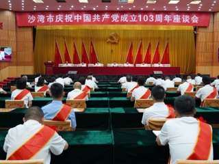 沙湾市举行庆祝中国共产党成立103周年座谈会