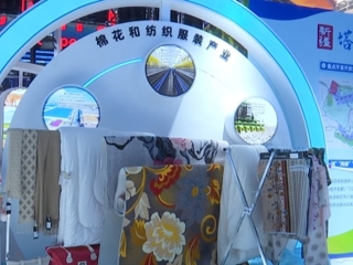 沙湾市特色展品亮相第八届中国—亚欧博览会