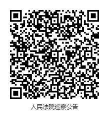 人民法院巡察公告