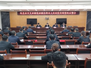 托里县交叉巡察组召开巡察沙湾市人民法院党组情况反馈会