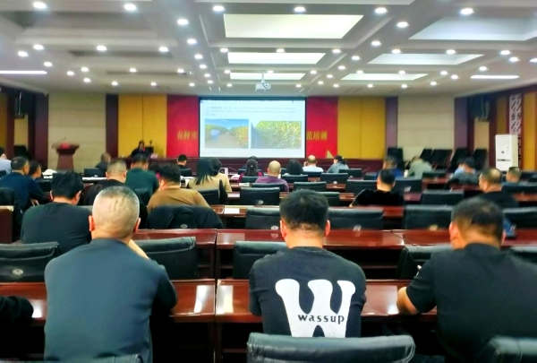 沙湾市农业新质生产力 推进玉米单产大面积提升