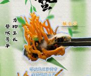 【节气里的大美中国】今日惊蛰 | 春雷惊蛰始 大地万物新