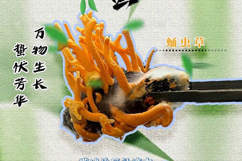 【节气里的大美中国】今日惊蛰 | 春雷惊蛰始 大地万物新
