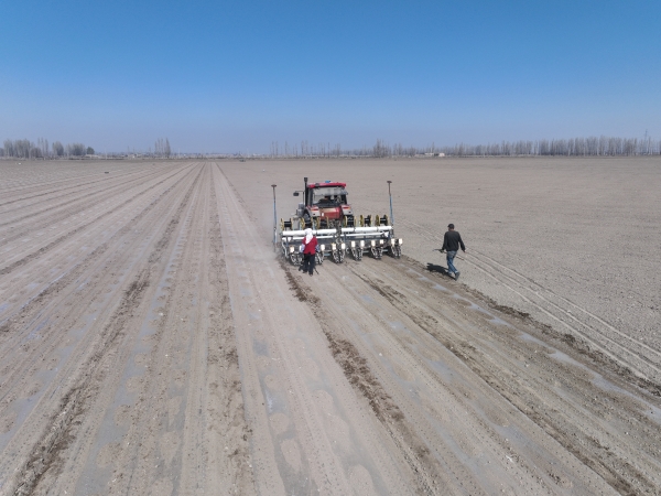 DJI_0163.JPG