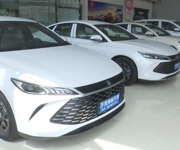 激发消费活力——沙湾市举办车展活动