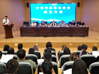 实干争先 向“新”而行丨沙湾市新媒体协会成立大会召开