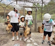 新疆塔城第十届沙湾大盘美食文化旅游节分会场活动精彩有趣