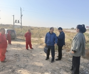 实干争先 向“新”而行 |沙湾市发改委精准施策解难题 平衡管道安全与绿化需求
