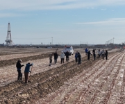 实干争先 向“新”而行丨沙湾市上千名干部群众携手植新绿