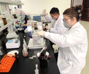 实干争先 向“新”而行丨沙湾市：靶向发力开展红薯专项抽检