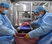 新春走基层 | 沙湾：瓜子加工忙 产销两旺迎新春