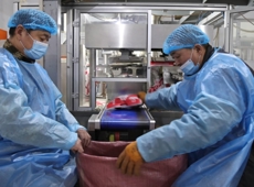 新春走基层 | 沙湾：瓜子加工忙 产销两旺迎新春