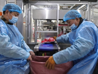 新春走基层 | 沙湾：瓜子加工忙 产销两旺迎新春