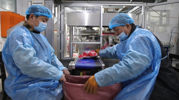 新春走基层 | 沙湾：瓜子加工忙 产销两旺迎新春