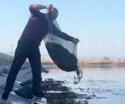 能力提升·奋进争先 | 沙湾千泉湖再迎20万只蟹苗“安家”