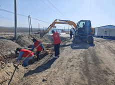 能力提升·奋进争先 | 沙湾市大泉乡中泉村：高标准农田添新绿 生态丰产双提升