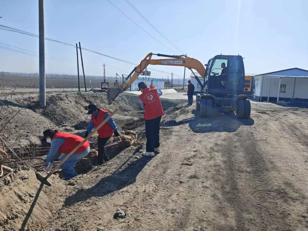 能力提升·奋进争先 | 沙湾市大泉乡中泉村：高标准农田添新绿 生态丰产双提升