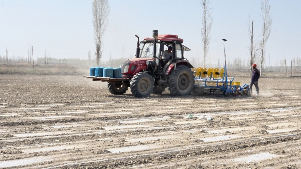 能力提升·奋进争先丨沙湾市“中国辣椒之乡”播种忙 机械化助力丰产丰收