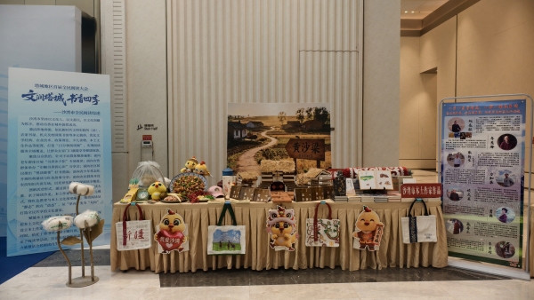 赴书香之约 展沙湾风采——沙湾市积极参与“塔城地区首届全民阅读大会”