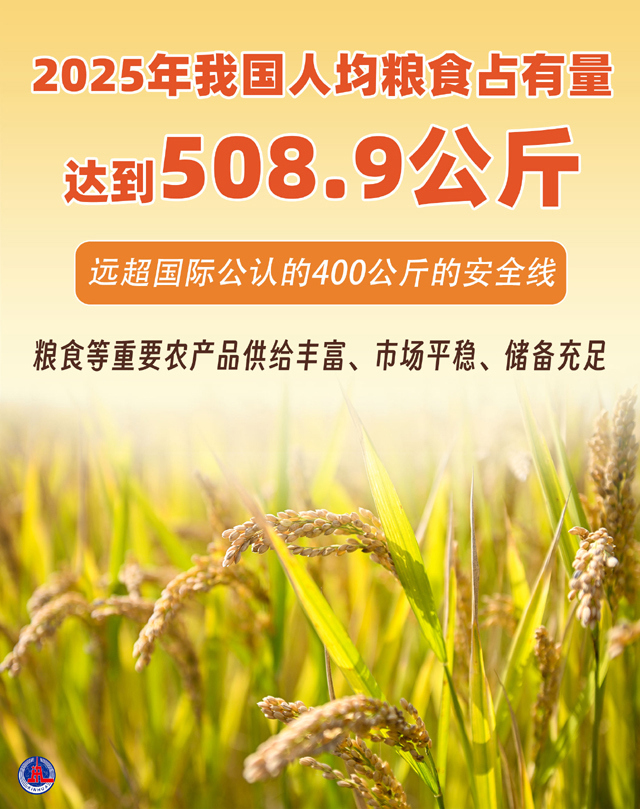 W020260204791237028117_ORIGIN