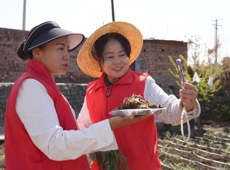 能力提升·奋进争先 | 沙湾市东湾镇：巾帼助农促振兴 直播带货大果阿魏