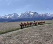 五一假期沙湾鹿角湾景区人气旺 游客乐享天山风光与特色体验