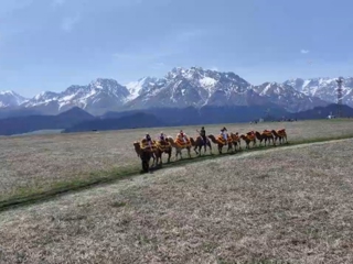 五一假期沙湾鹿角湾景区人气旺 游客乐享天山风光与特色体验