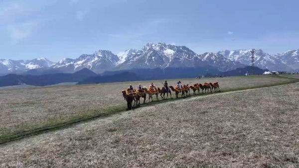 五一假期沙湾鹿角湾景区人气旺 游客乐享天山风光与特色体验