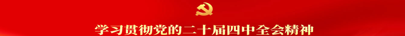 学习贯彻党的二十届四中全会精神