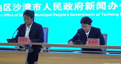 沙湾市政务服务中心召开“2025年上半年政务服务优化营商环境情况”新闻发布会